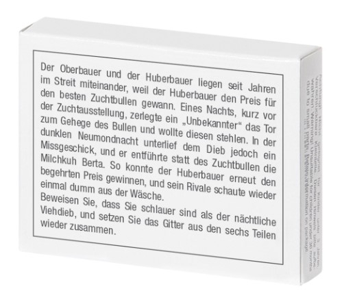 Mini-Knobelspiel - Das Bullen-Gitter