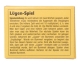 Mini-Spiel – Lügen-Spiel